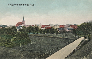 Senftenberg